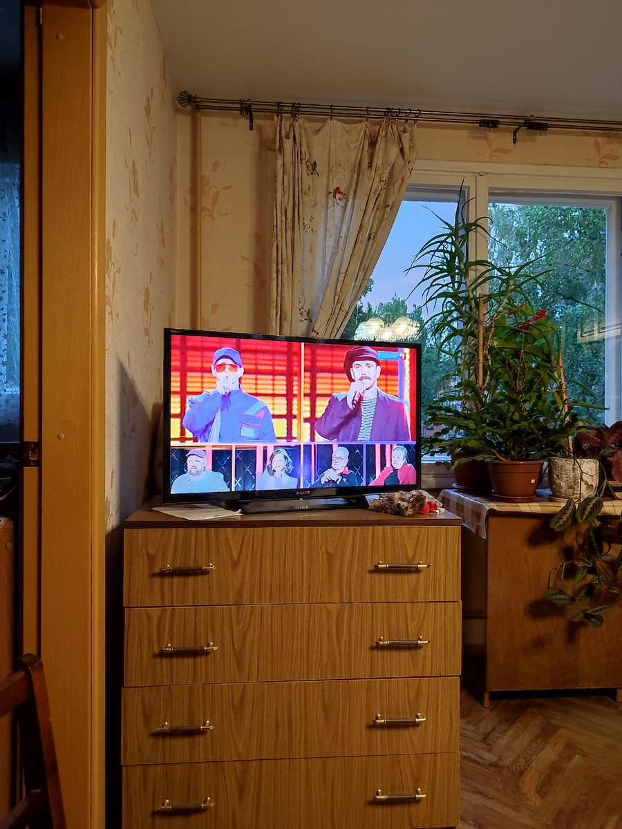 Столетник какой вымахал у нас!