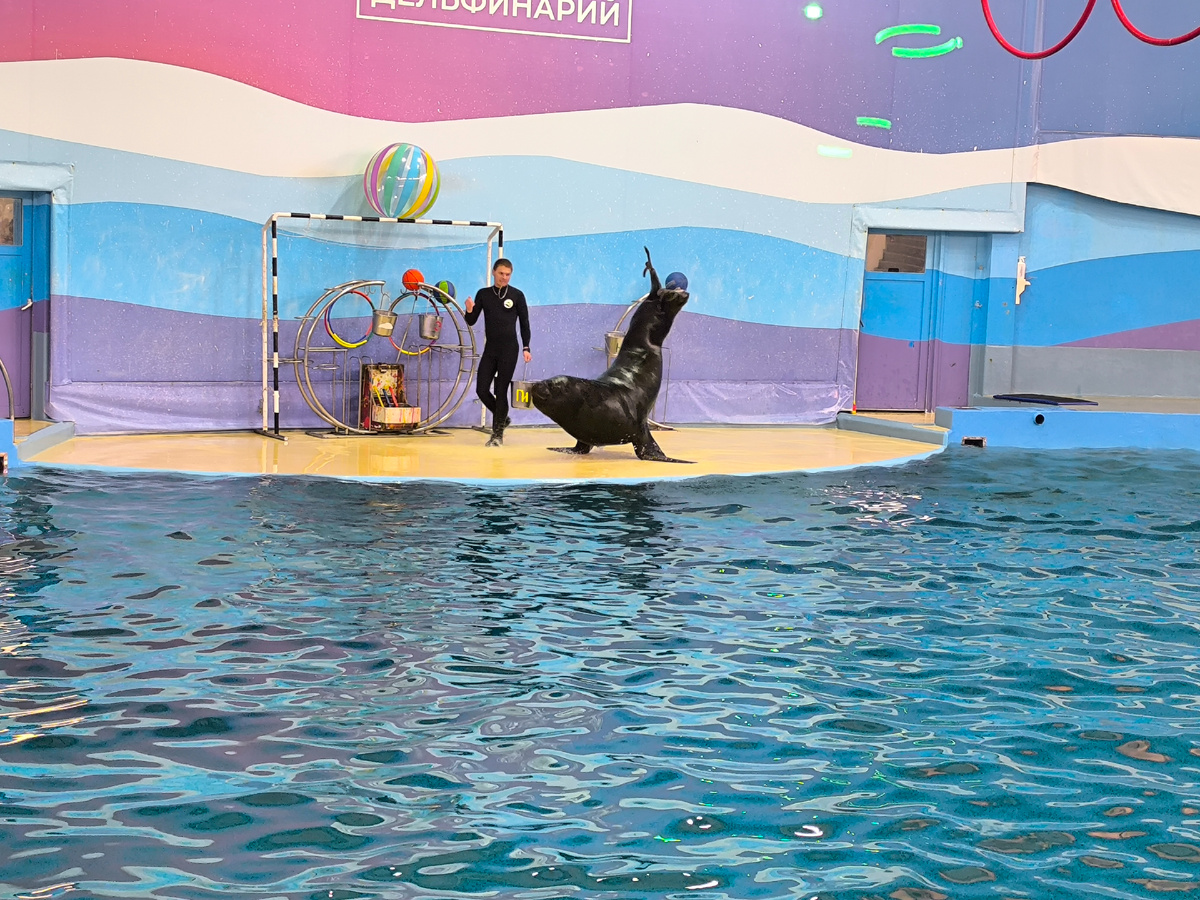 Фото автора канала "Счастье есть"