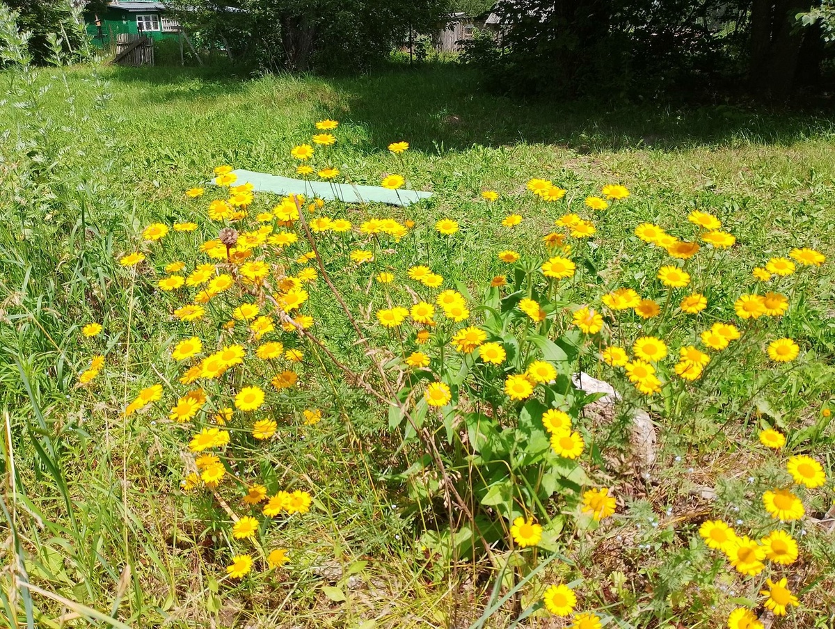 Воон там, чуть вдали - видите? Коврик "пенка", на котором я растягивал телеса, одеревеневшие  после сна.