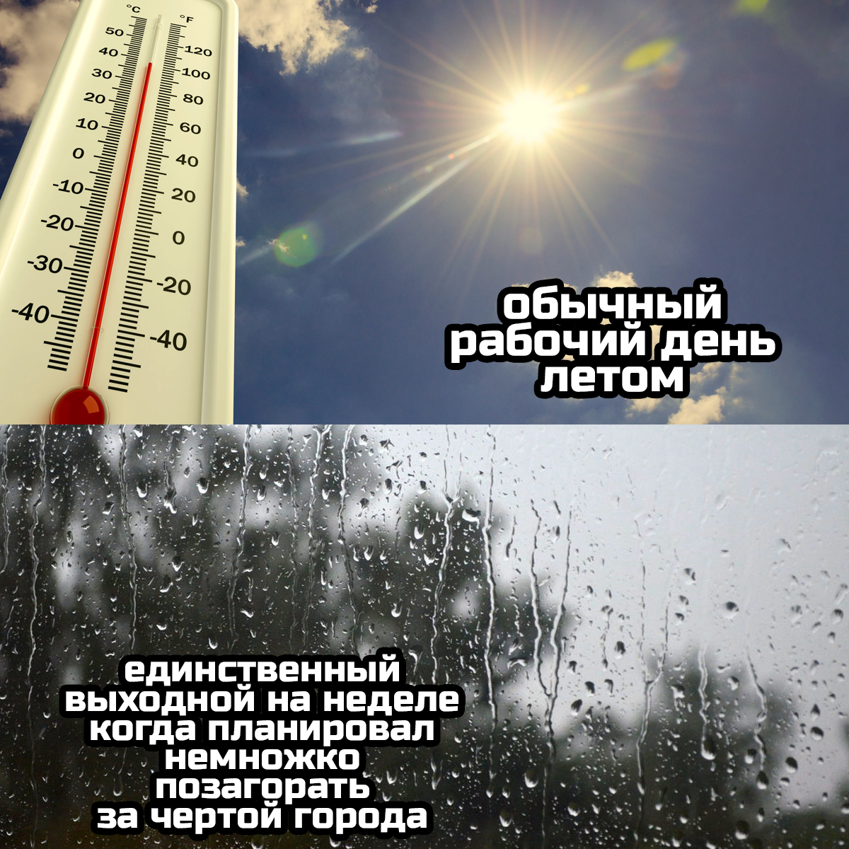 Фото взято из открытых источниках интернета