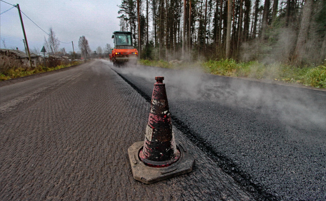    © Анастасия Илюшина / ЛенТВ24