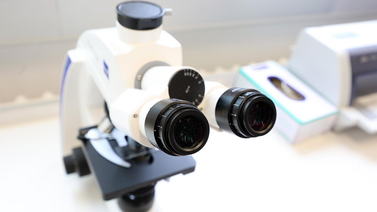    Фото: Karl-Josef Hildenbrand/globallookpress.com