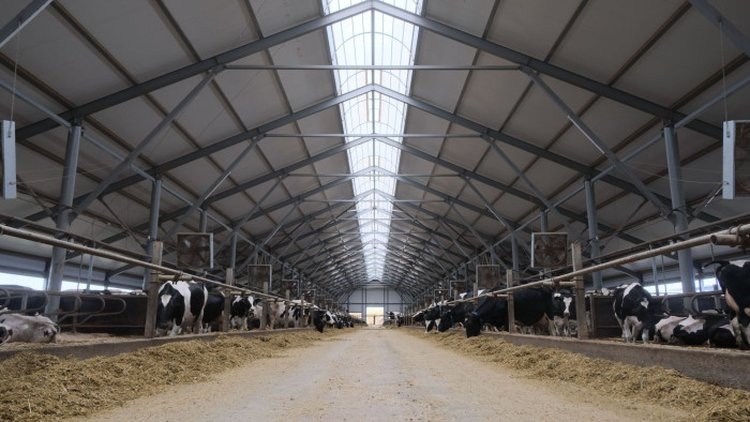    Фото: Минсельхоз Республики Башкортостан