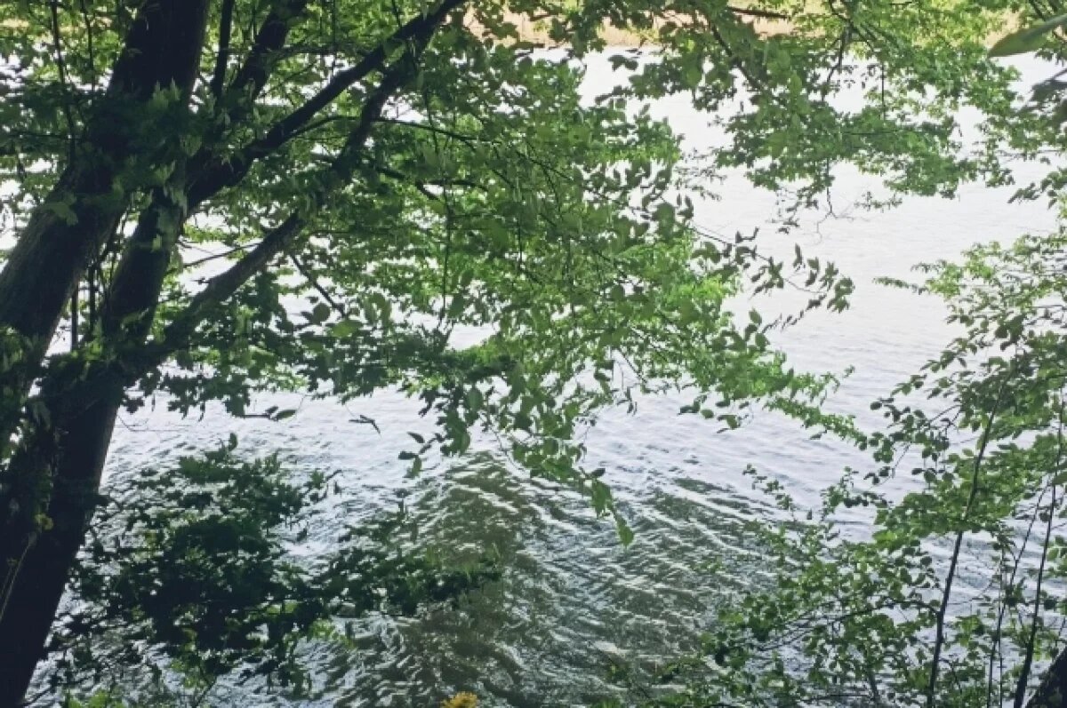    Эколог рассказал почему реки под Краснодаром чище, чем во всем крае