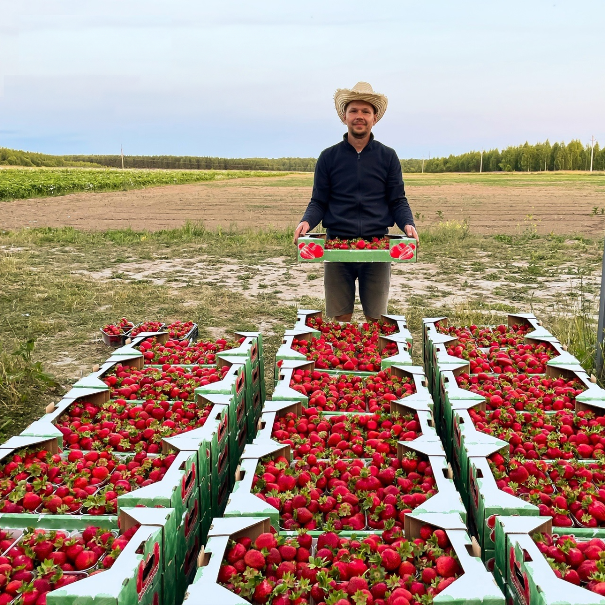    Житель Арзамаса расширил собственный бизнес по выращиванию ягод благодаря социальному контракту