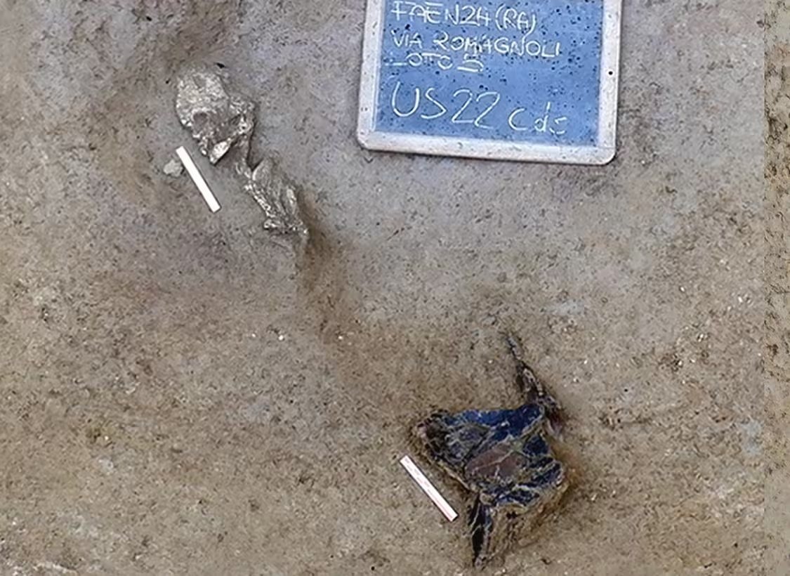    Фрагменты скелета позволили узнать прошлое всей семьи