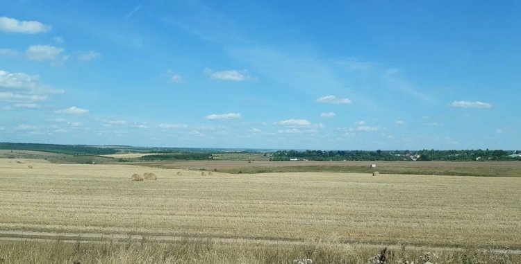    Фото: Лукьянов Дмитрий, AgroXXI.ru