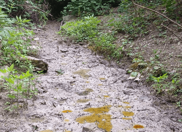    Фото: Светлана Добрицкая / «Новороссийский рабочий»