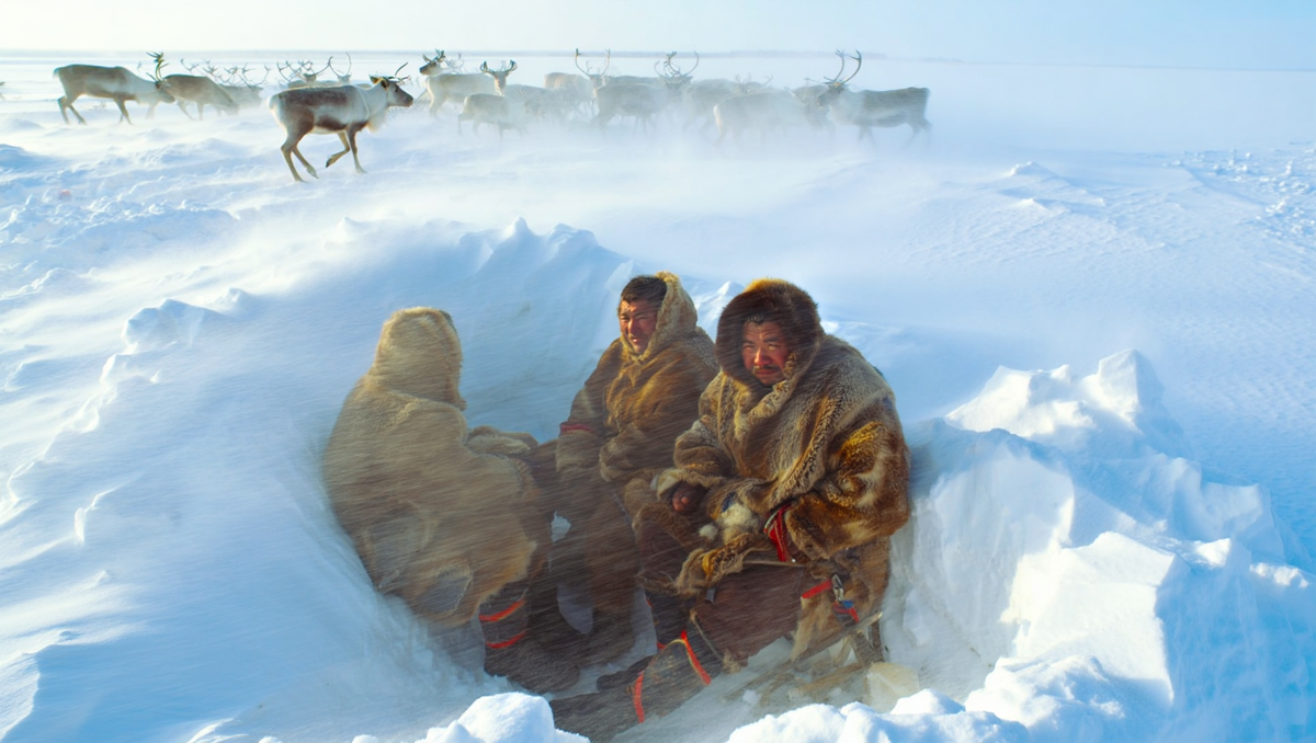 Изображение сгенерировано при помощи ИИ
