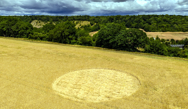 6.07.2025 г. Англия, графство Сомерсет.