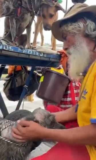 «Они живые существа», — сказал Ноэ. «Они для меня все».