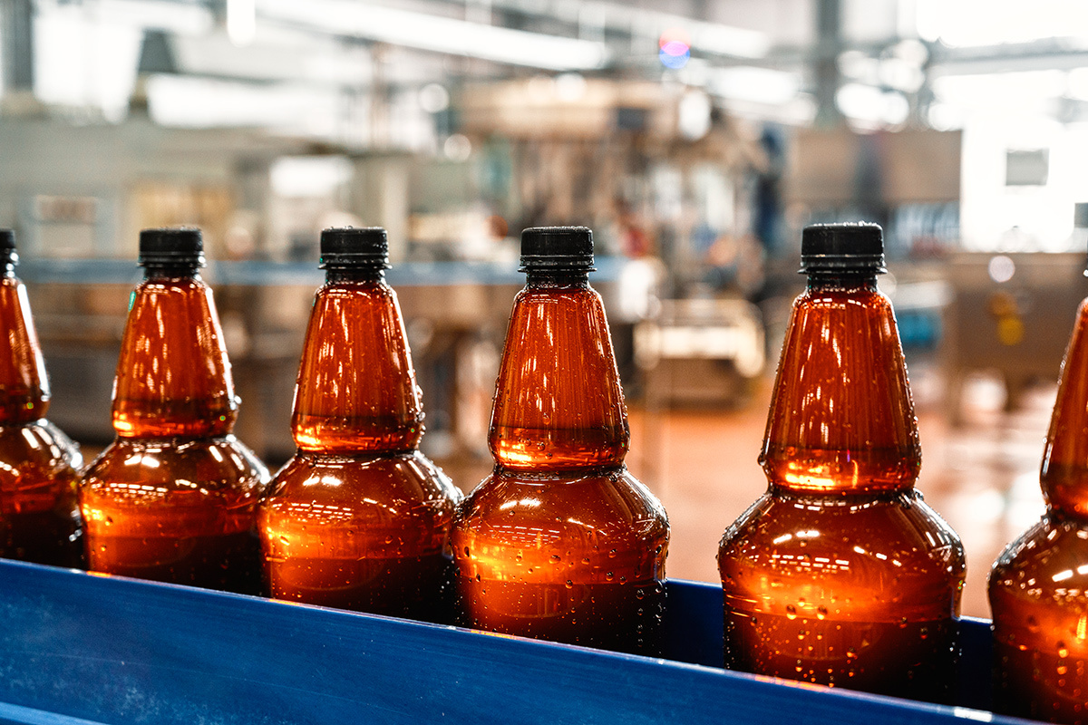    Фото: Nordroden / Shutterstock.com