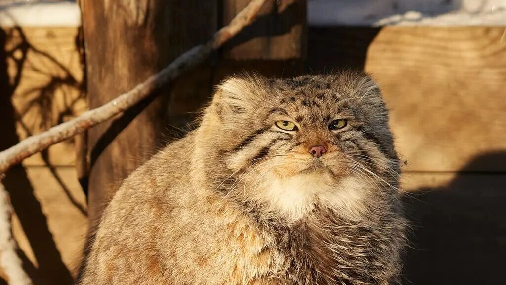     Источник: manulization.ru