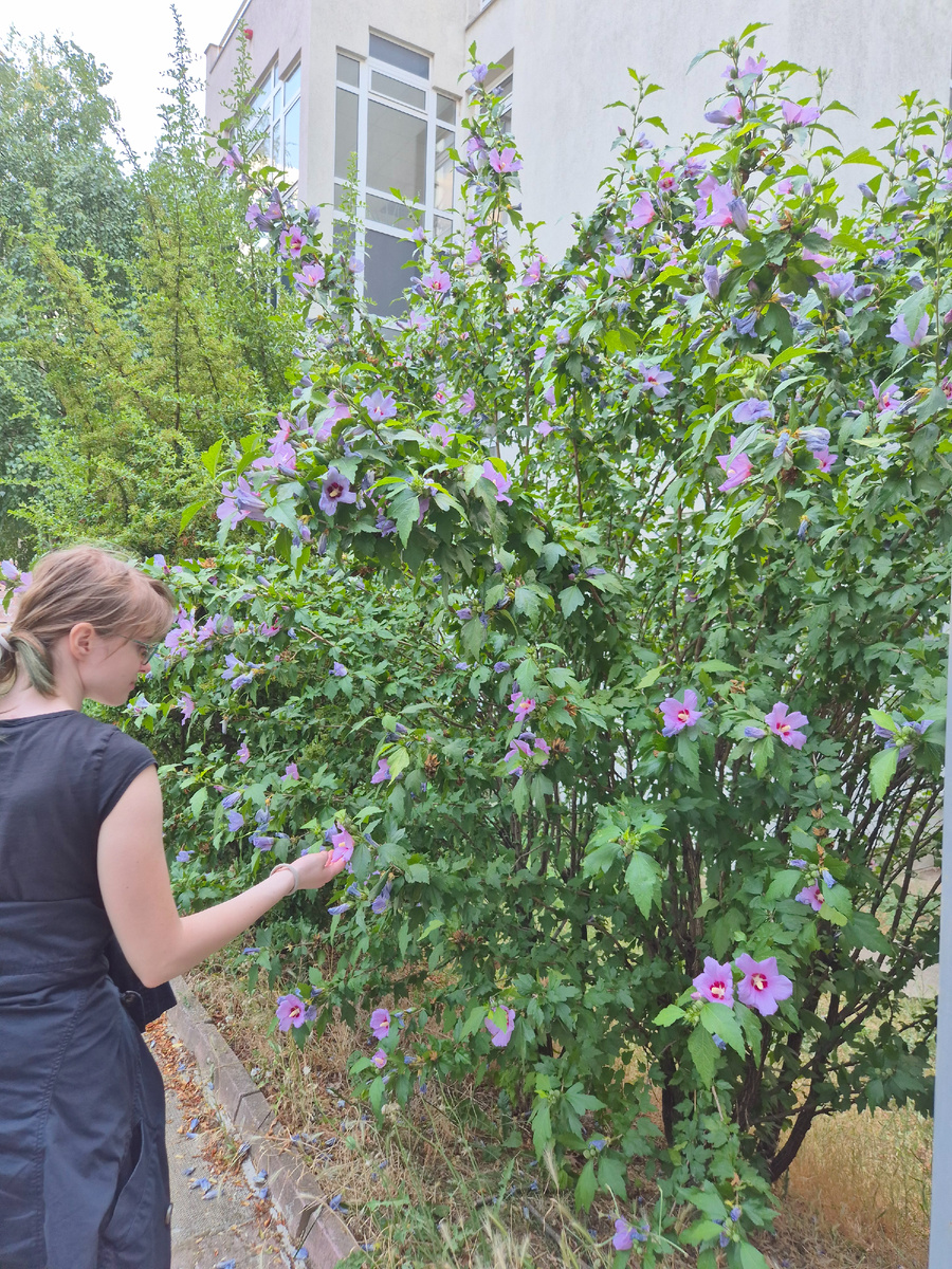 Вокруг попадаются симпатичные цветы.