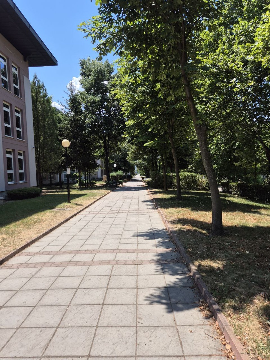 Аллели вдоль кампуса.