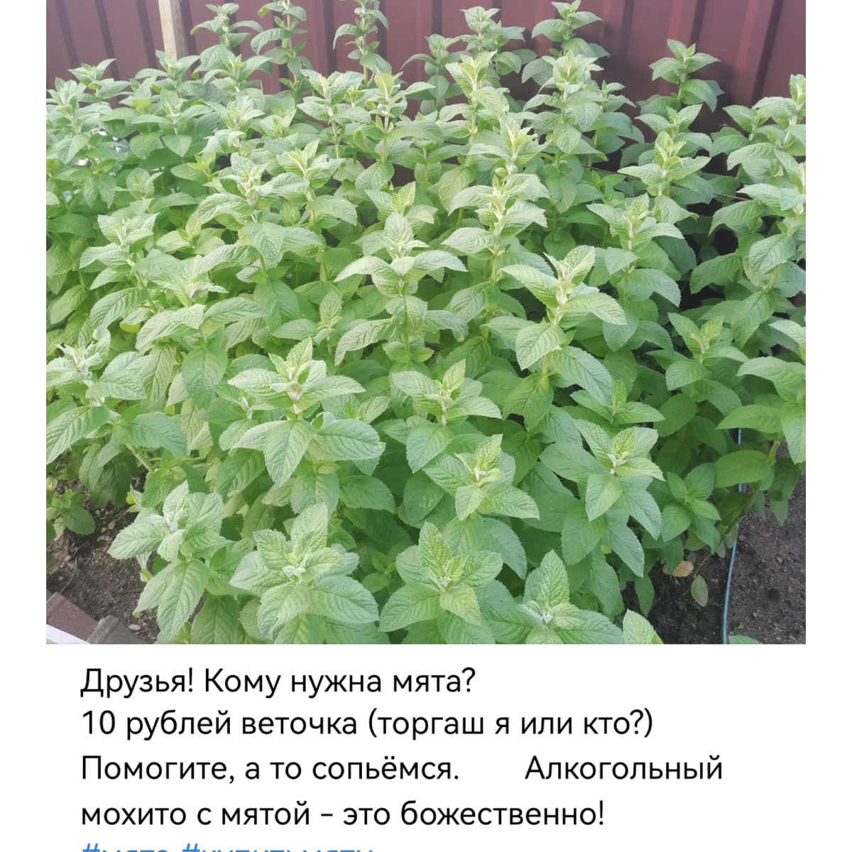 Я даже в vk продублировала.