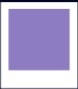 Сиреневый цвет 6