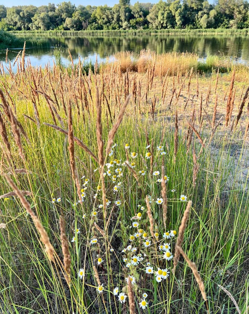    ДОН24   📷   ДОН24   📷   ДОН24