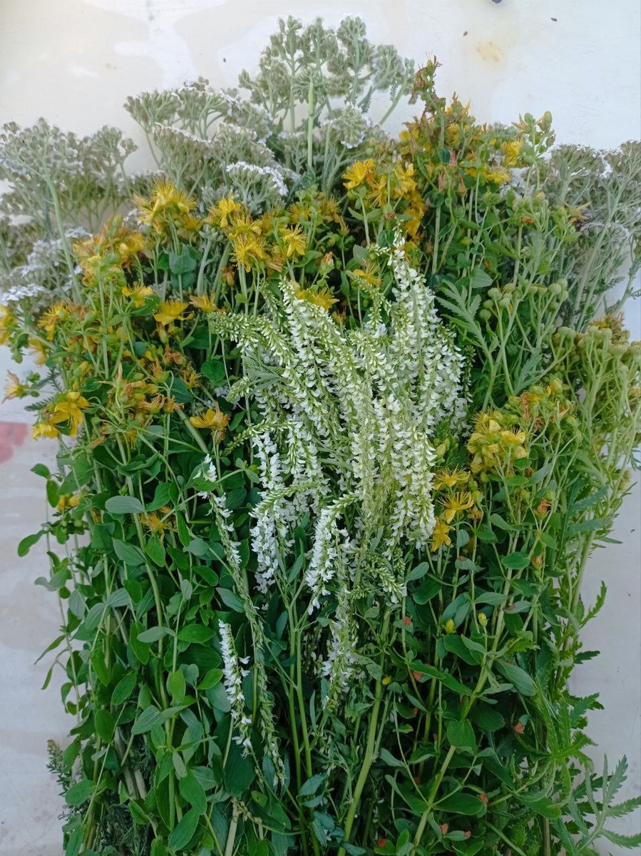 Магический сбор 2024