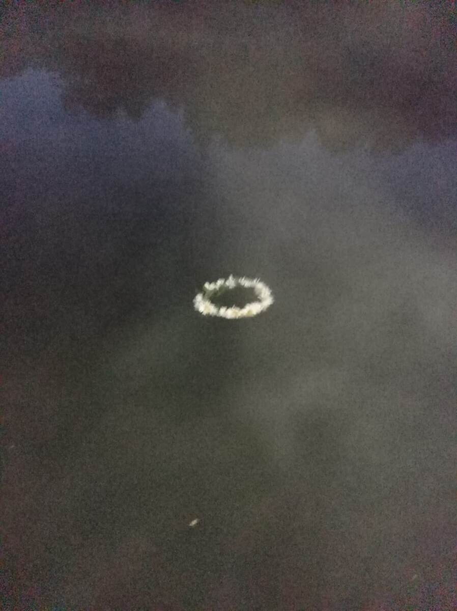 Иван Купала 2024. Тополек. В темноте и тумане - поэтому фото такое туманное....