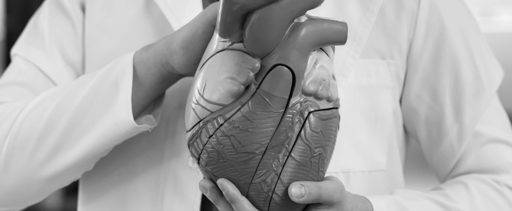 Берут ли в армию с регургитацией в 2025 году?