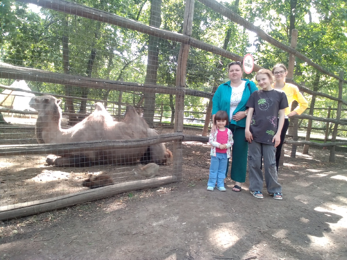 Внизу кролики пробегают, смазанные, потому то в движении в кадр попали