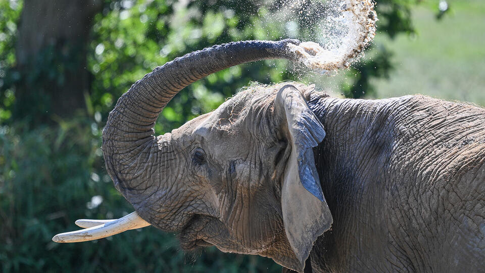 Фото: © www.globallookpress.com/Arne Dedert/dpa / РЕН ТВ