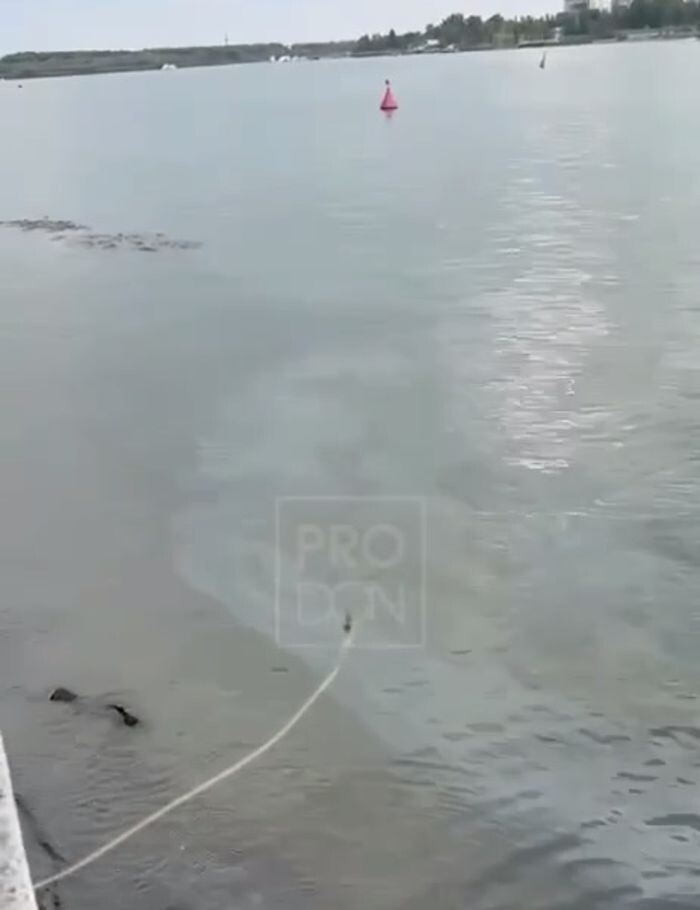 Источник фото: Соцсети