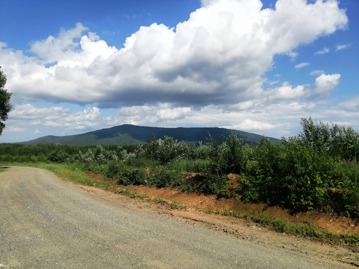 Вид на гору  с дороги на Косью