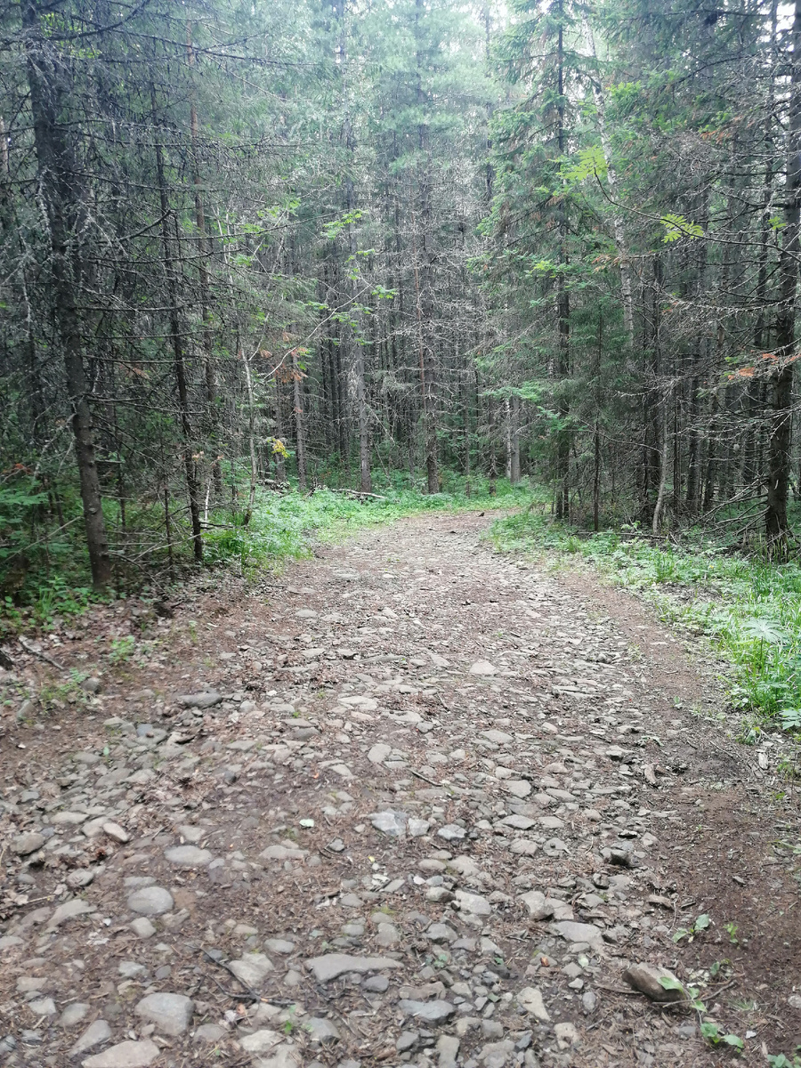 Тропа на гору Качканар с посёлка Косья. 