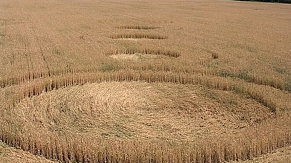    Таинственные пиктограммы в Новокубанском районе появляются за одну ночь и ставят ученых в тупик