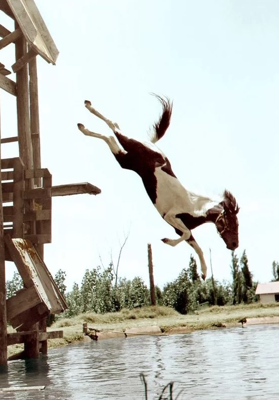 Изображение не нарушает правил платформы (Взято из открытых интернет-источников: ru.pinterest.com)