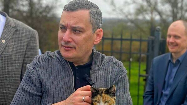    © Фото : Хинштейн