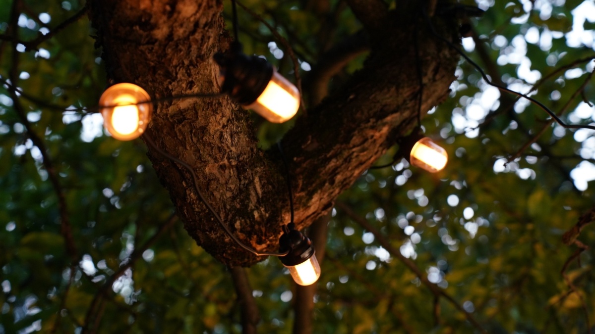 Светлана Мулыкина📷
