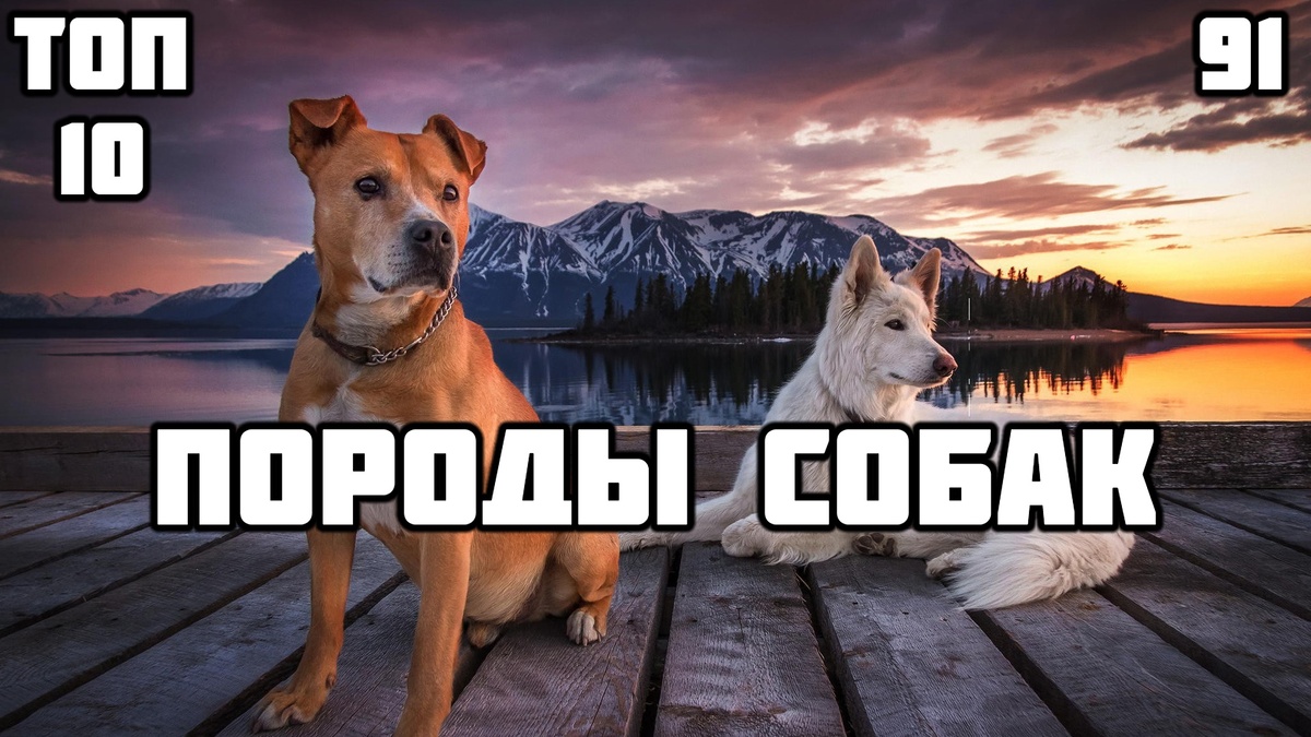 Видео в конце статьи!