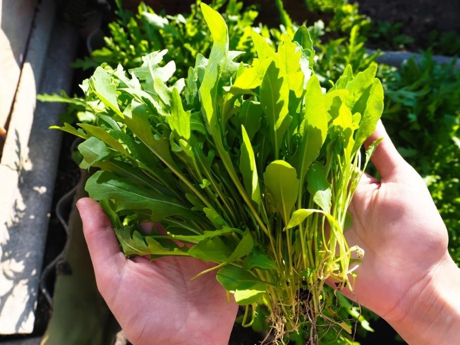    Shutterstock/FOTODOM