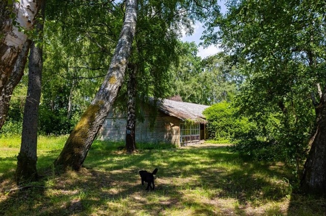   Фото из архива Калининград.Ru