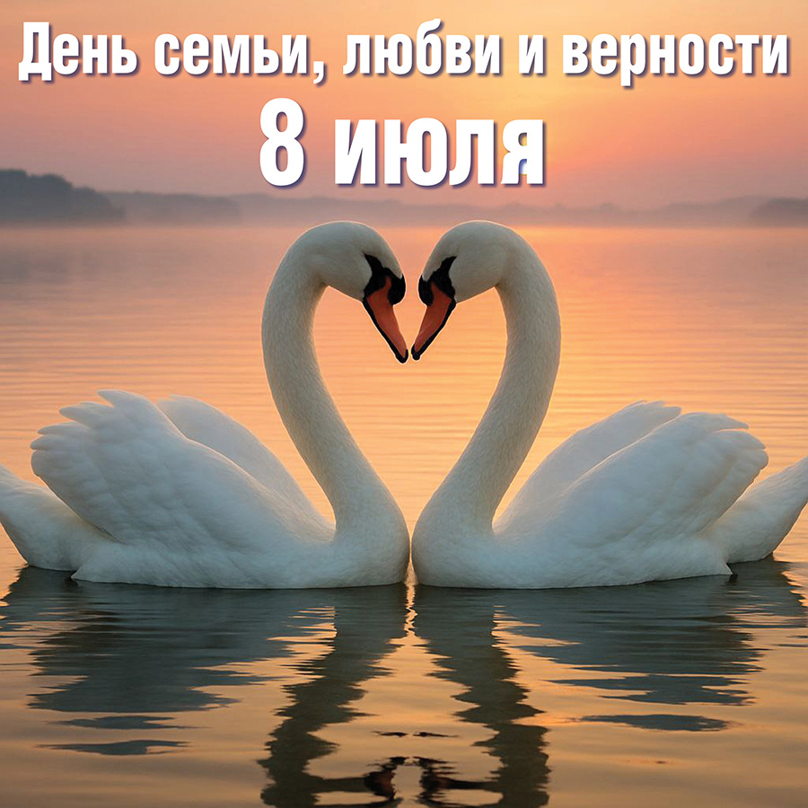 © Фото: ИД «Волгоградская правда» / Светлана Цоцикян