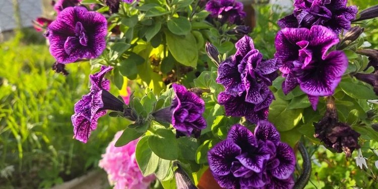    Фото: Лукьянов Дмитрий, AgroXXI.ru