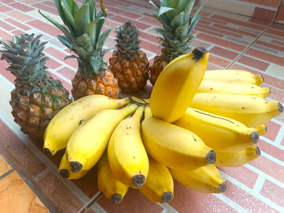 Непридуманное, сам так рос