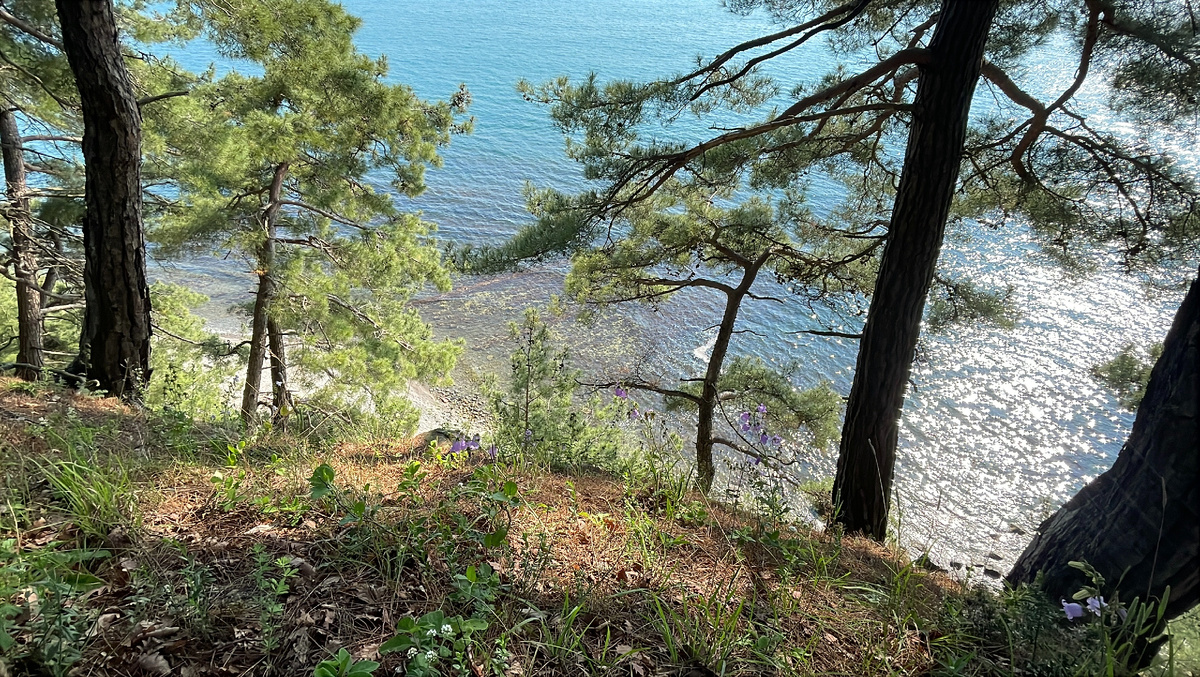виды со смотровой недалеко от лагеря