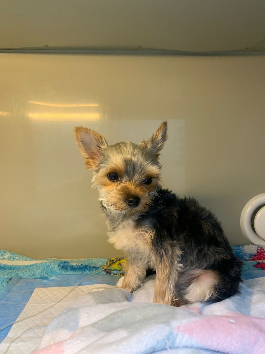 Только начал вставать. 