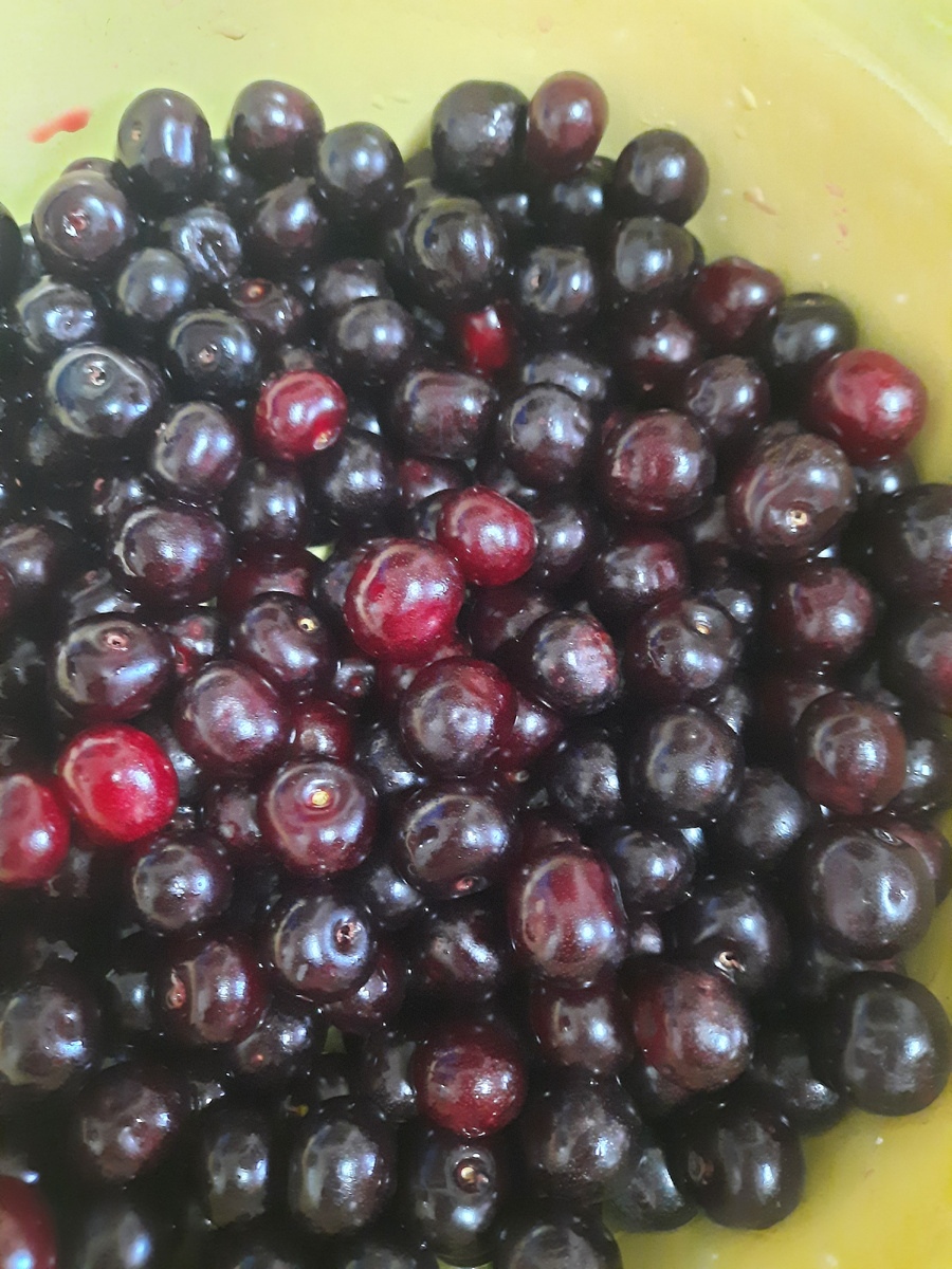 Это ещё с ядрышками