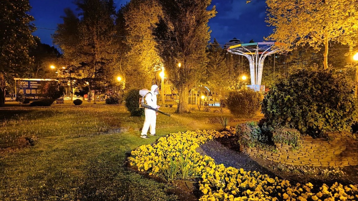     Фото: Пресс-служба администрации Краснодара