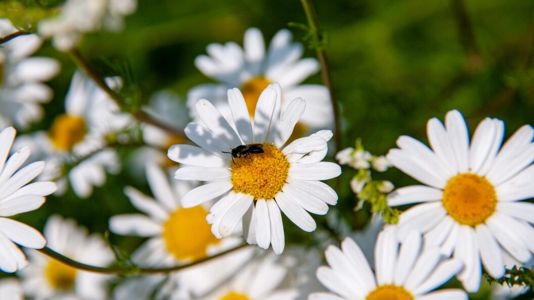    Фото: Svetlana Vozmilova/Global Look Press