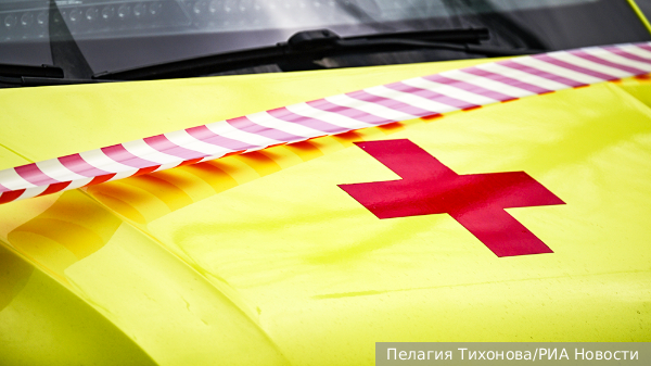     Фото: Пелагия Тихонова/РИА Новости   
 Текст: Валерия Городецкая