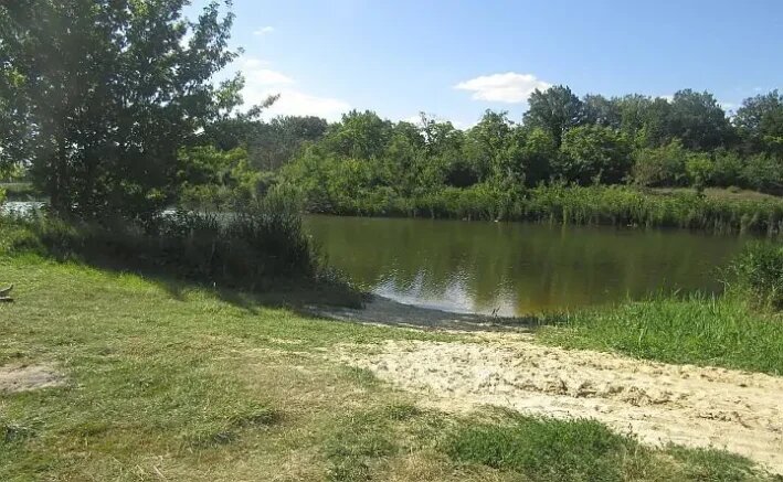    Место происшествия. Фото: t.me/SU_SKR161