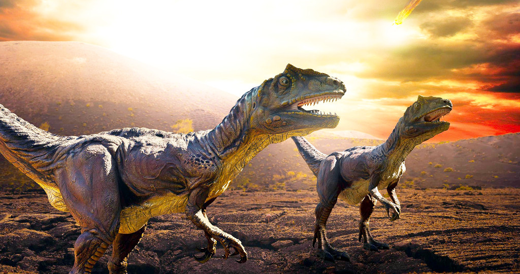 Кто смог пережить гибель динозавров