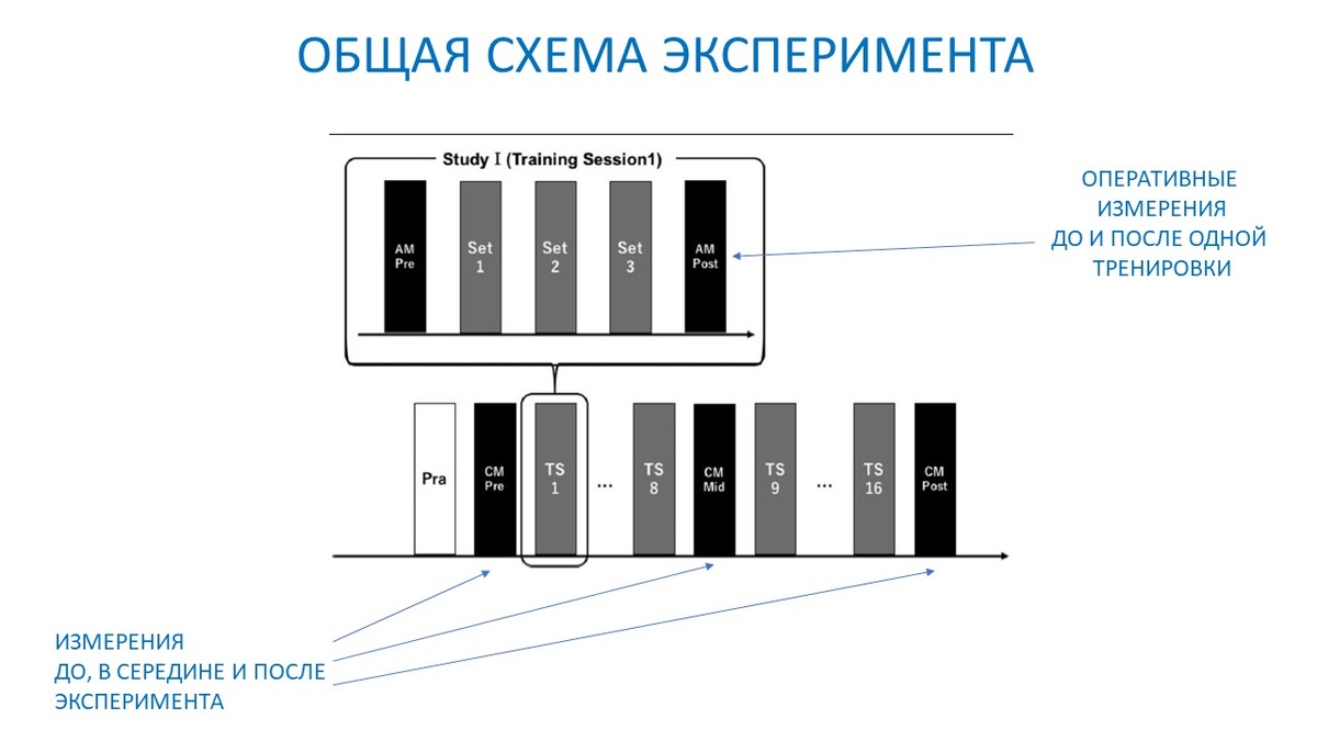 Рисунок 1. Общая схема эксперимента. Наверху измерения на первой тренировке, снизу - до, в середине и после эксперимента.