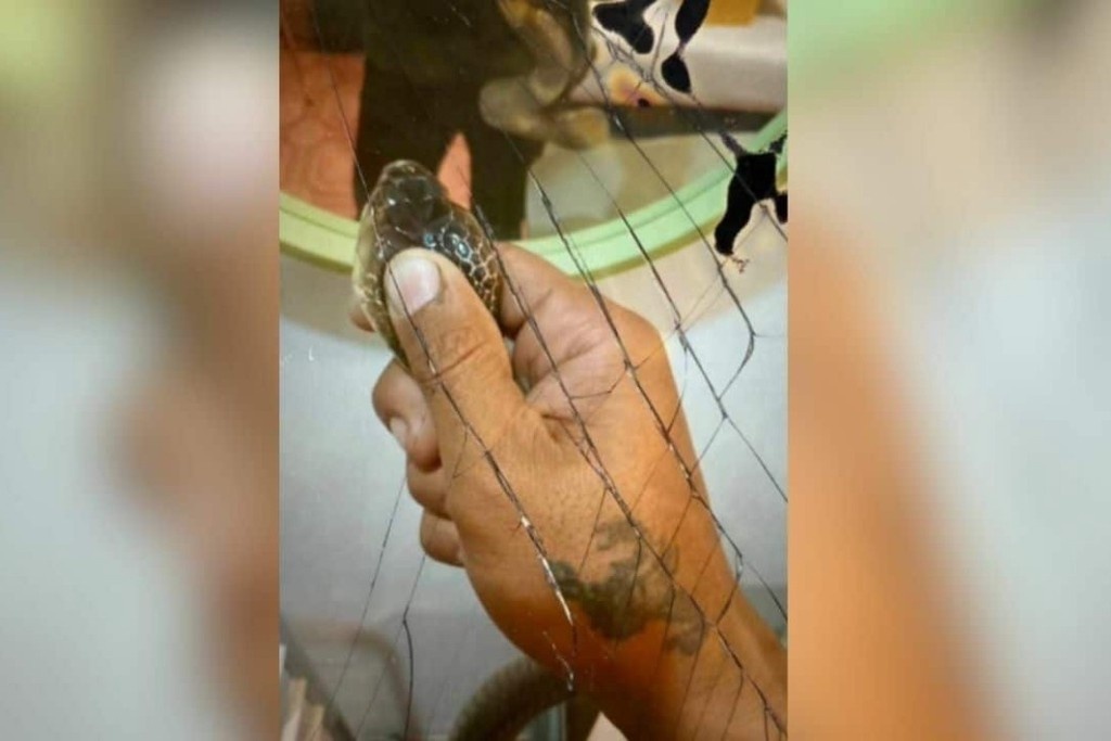    Фото © Facebook (признан экстремистской организацией и запрещён на территории Российской Федерации) / เจ๊ม้อย v+